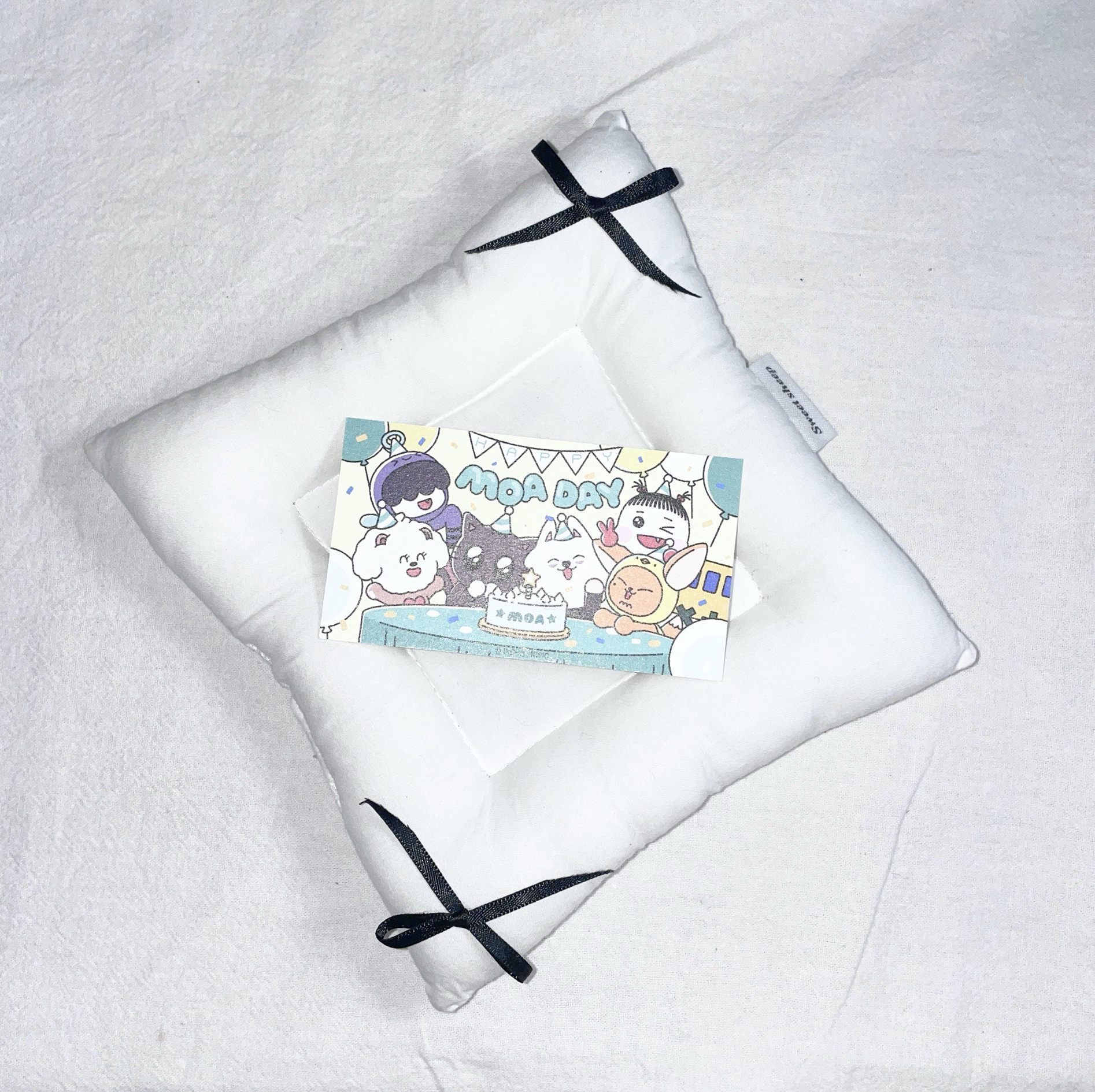 ⚪️25’巡迴 入場卡 / 場限卡 moa day未掃