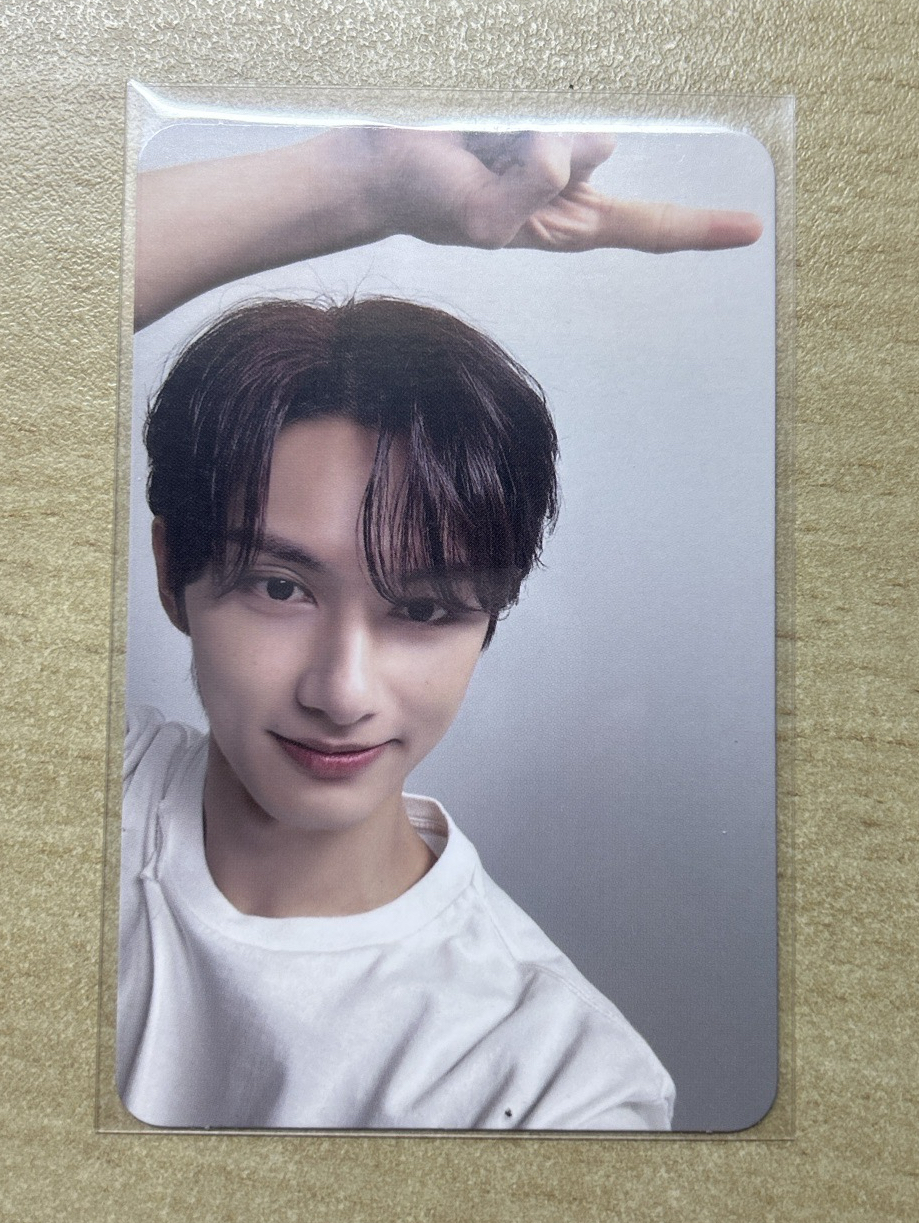 精選專 專輯卡 精選輯｜CARAT ver.