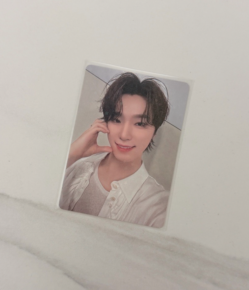 Seventeen Dino 李燦 續會卡