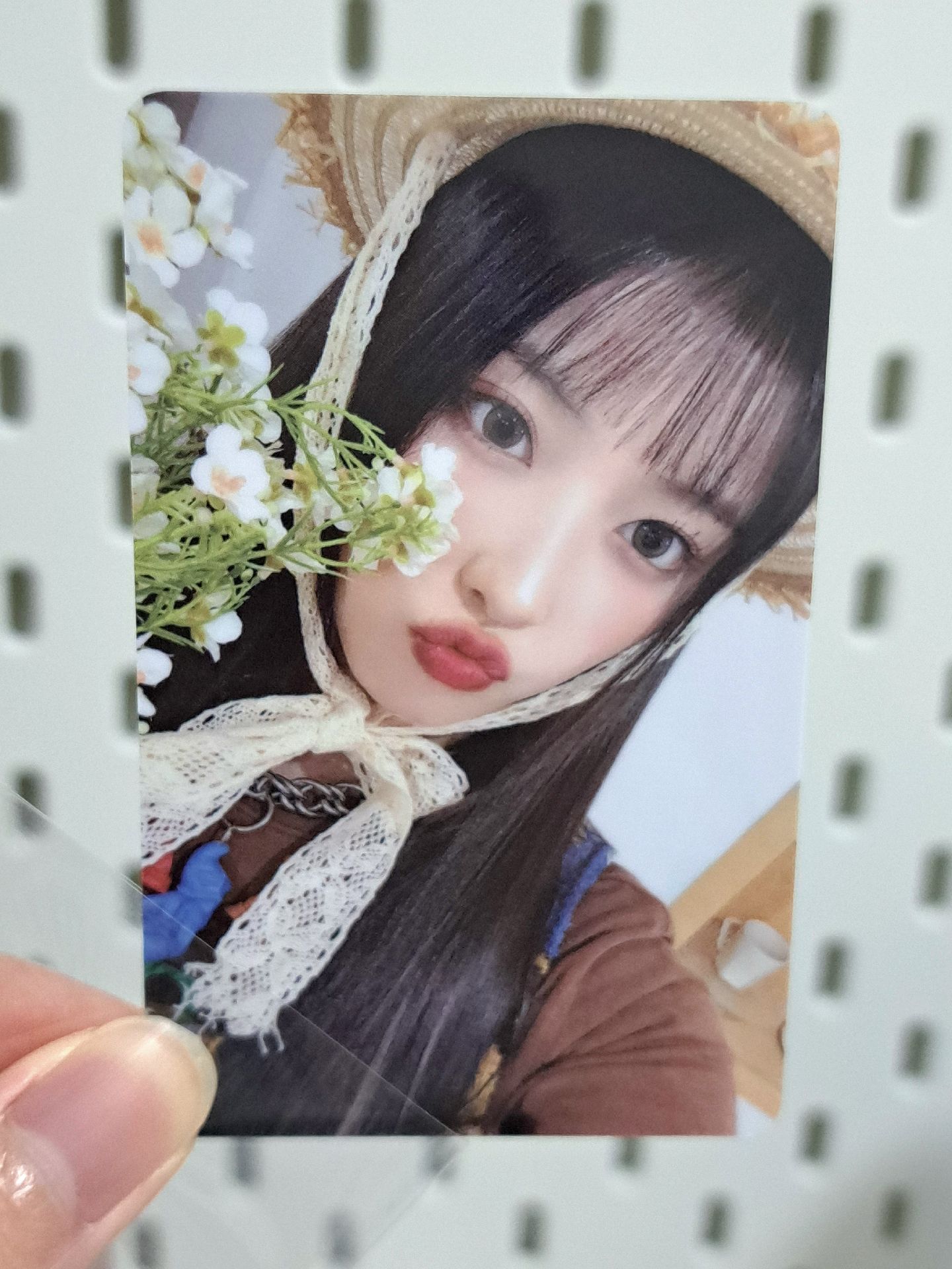 expérgo ms 幸運卡 野餐友