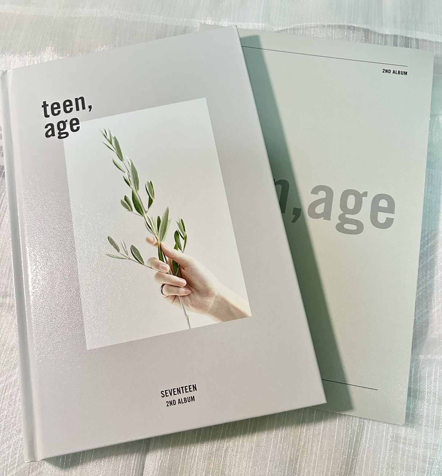 ❤️正二 專輯 WHITE -立牌漢寛各一