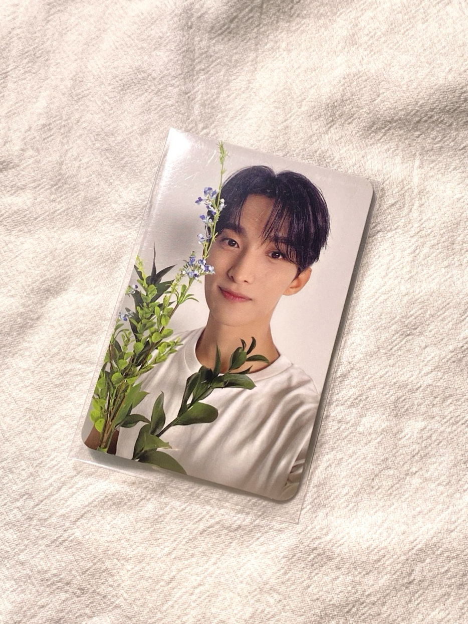 🎀精選專 碩專卡