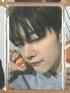 D6 Zeroni滿額修（上次的）