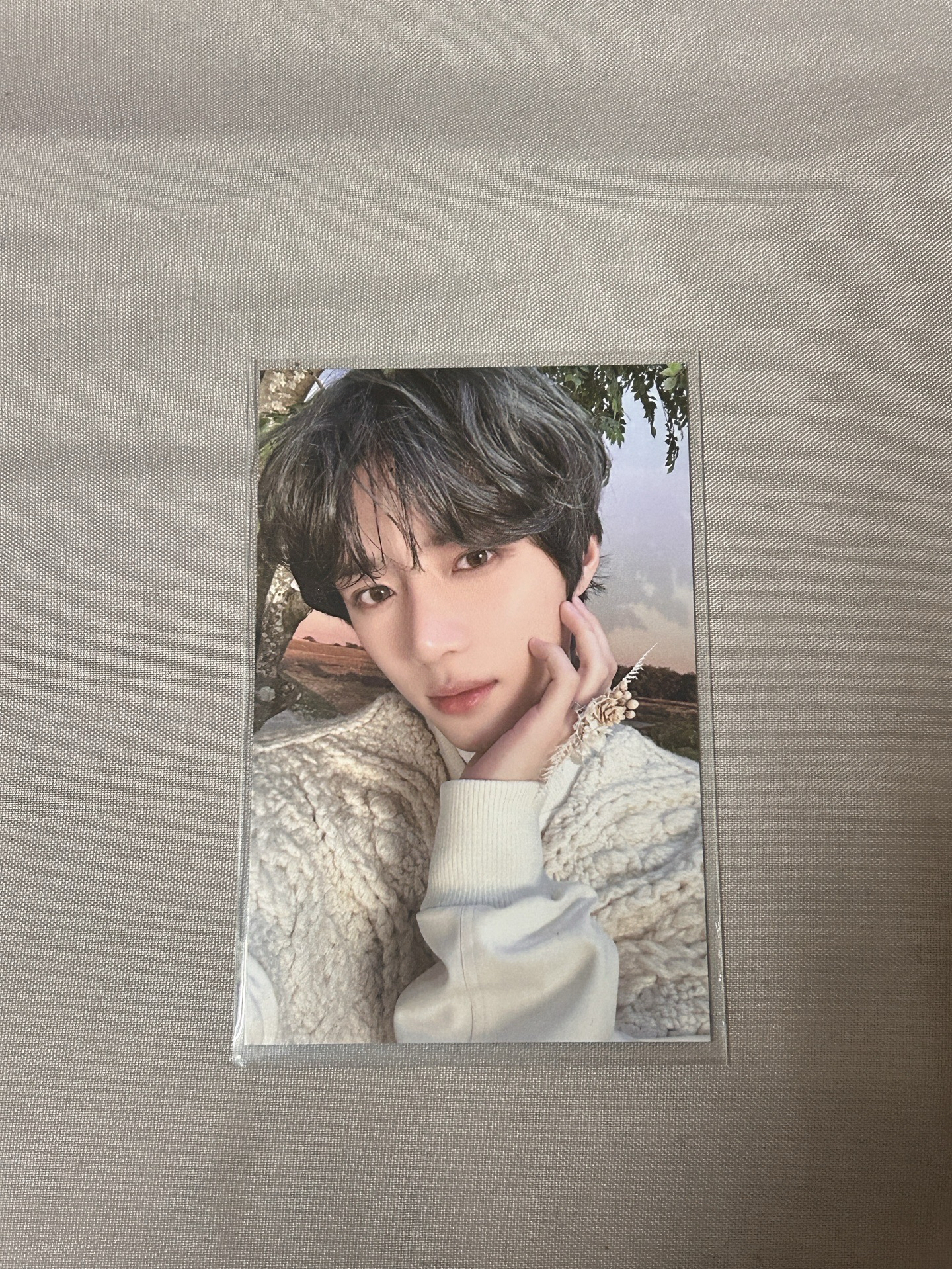 🐝TXT杋圭 24年台北場粽卡