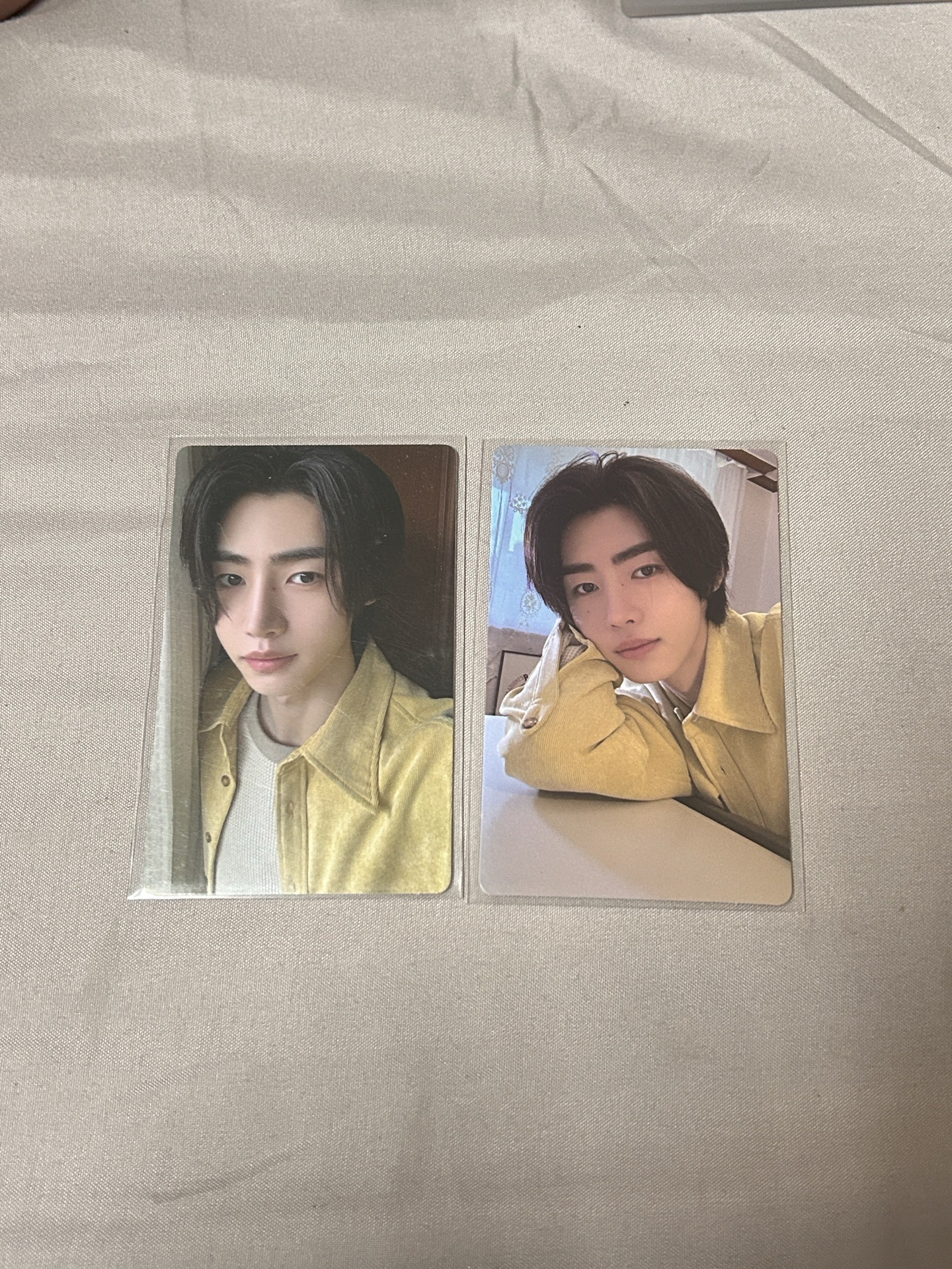 EN成訓 正二專卡&wvs特典