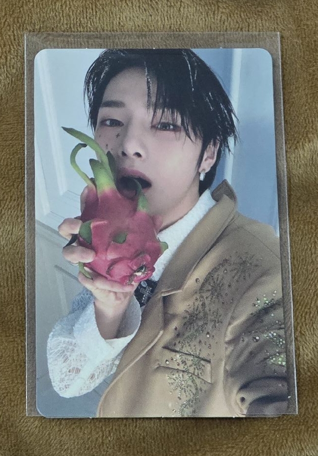 寅 Hollow限量專 專卡