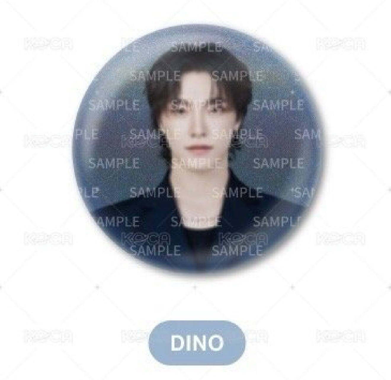 現貨新巡日巡燦徽章