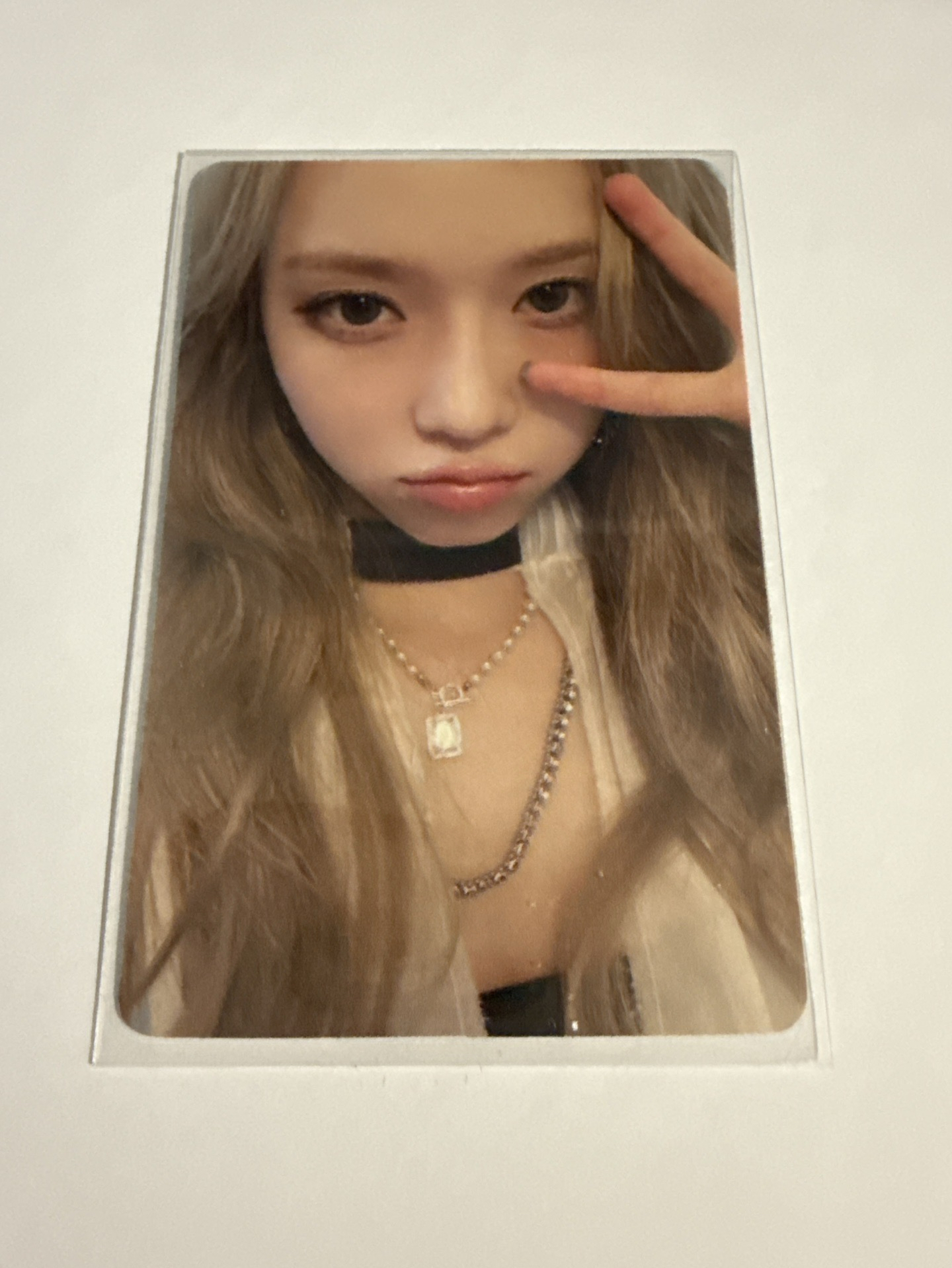 上海快閃立牌冬