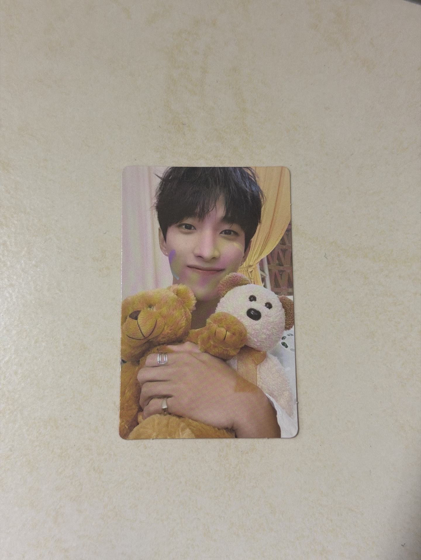 正四 專輯卡 正規四｜WVS電子專ver.