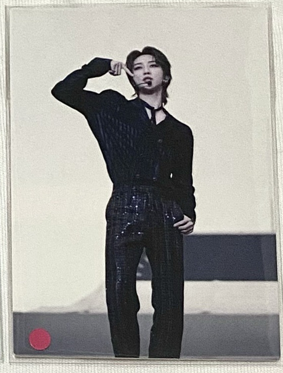 （有廠損）follow展會卡