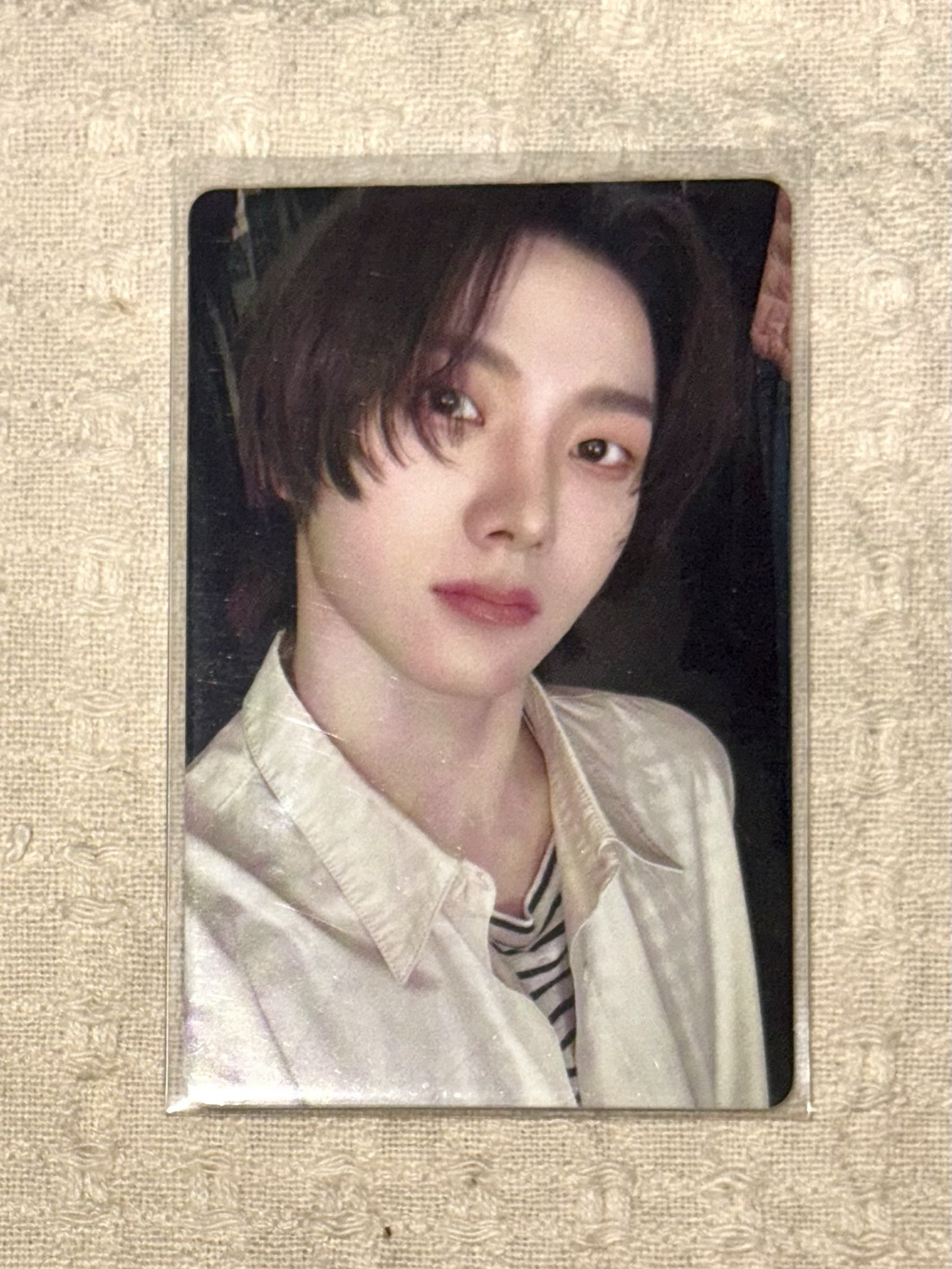 朴成淏 Sungho 19.99 專卡