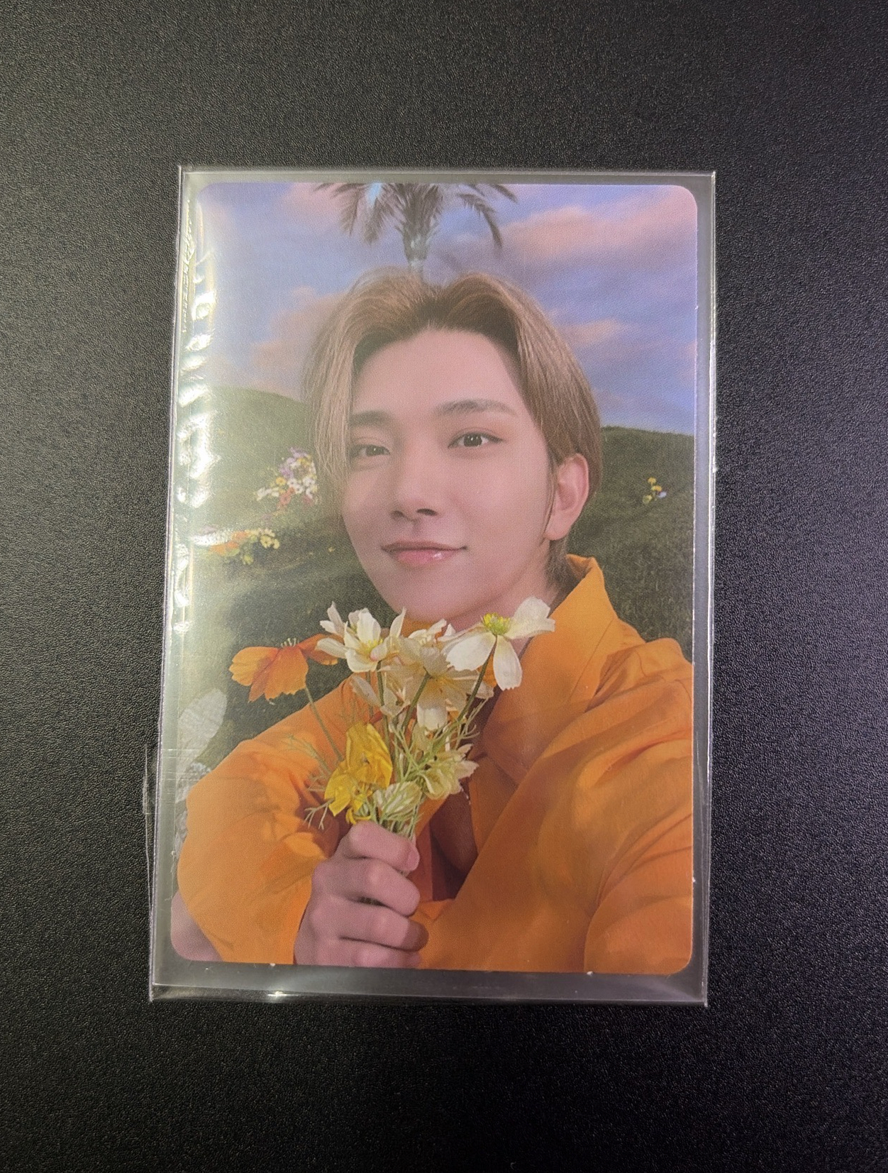 正四後續 Target 秀