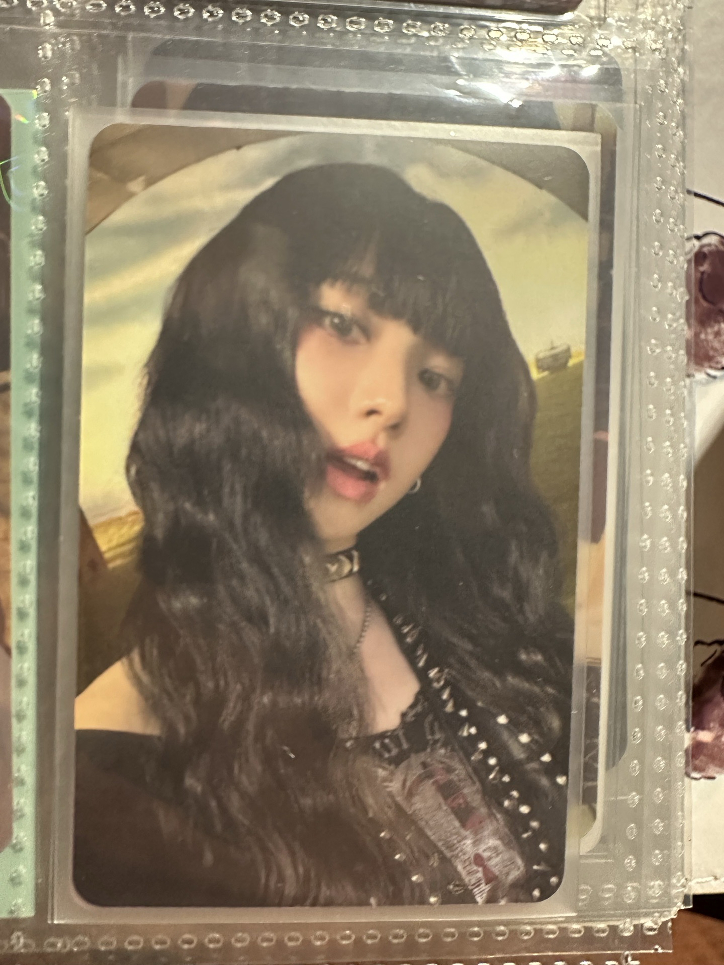 星河特典柚（中背）