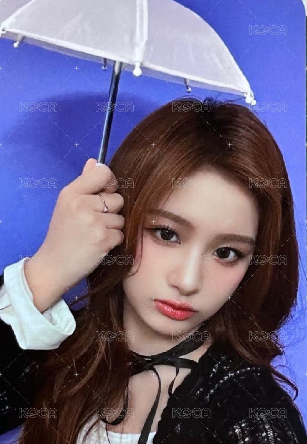 FORWARD ms 15.0 簽售卡 迷你雨傘薛