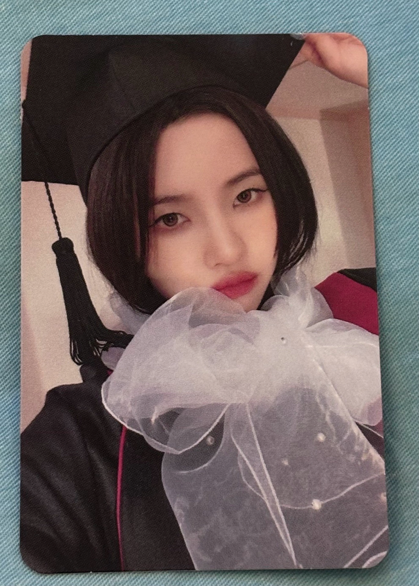 ⭐️正規二 ms 6.0 特典卡 畢業娟