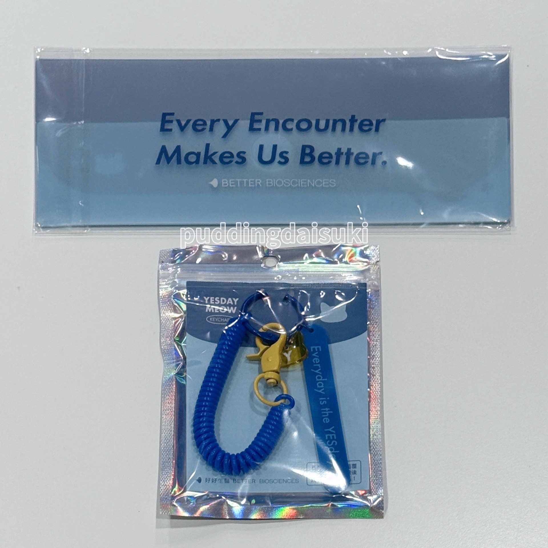 SUPER JUNIOR｜2025 YESDAY 限定票夾+貓咪鑰匙圈 藝聲