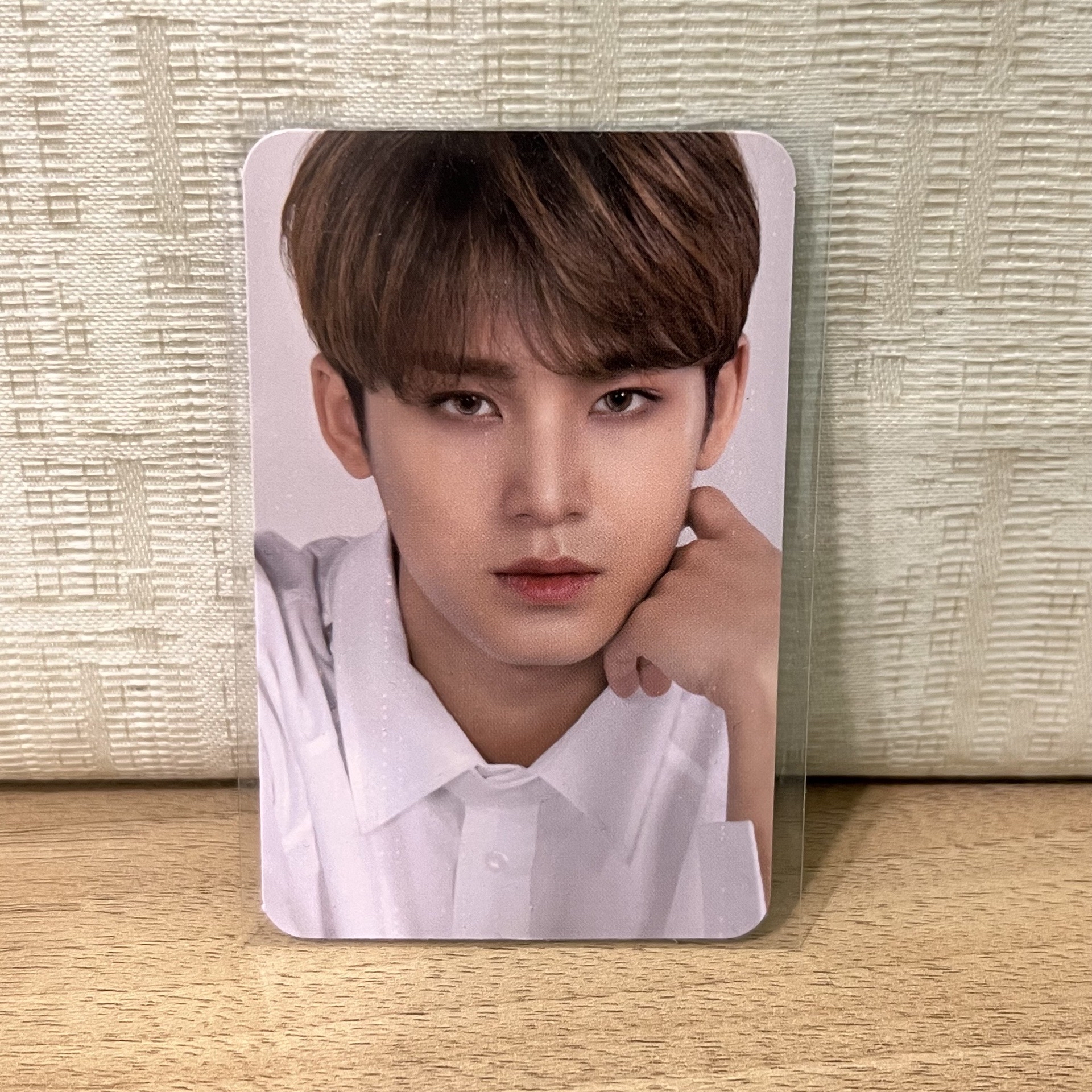 (價格已含綁) SEVENTEEN 代言卡 ao+ 美瞳卡 玟奎