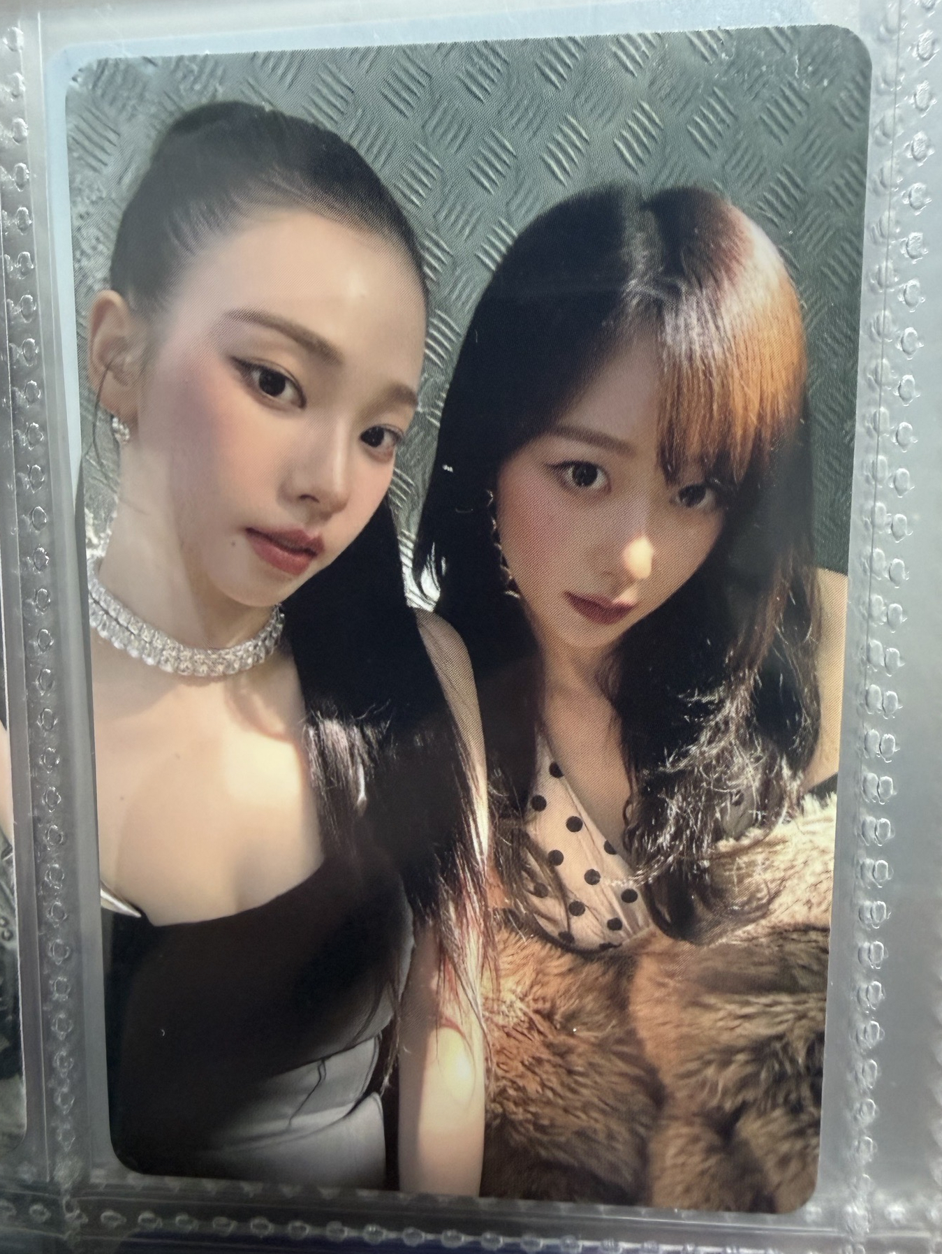 11/26日巡 大阪場A賞