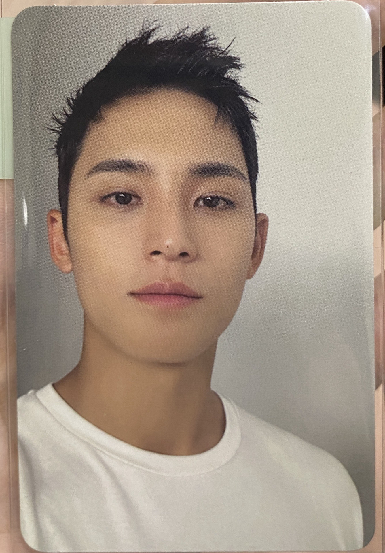 奎 精選專 專輯卡｜CARAT ver.