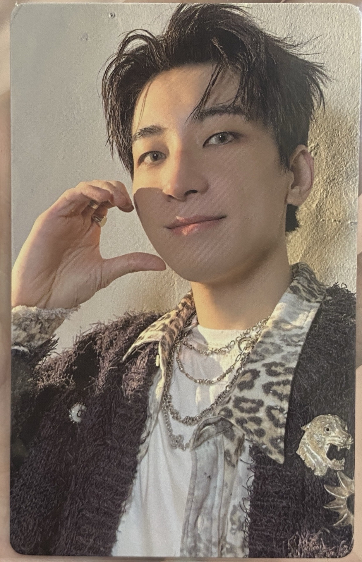 圓 正五 wvs PB預售 特典卡 