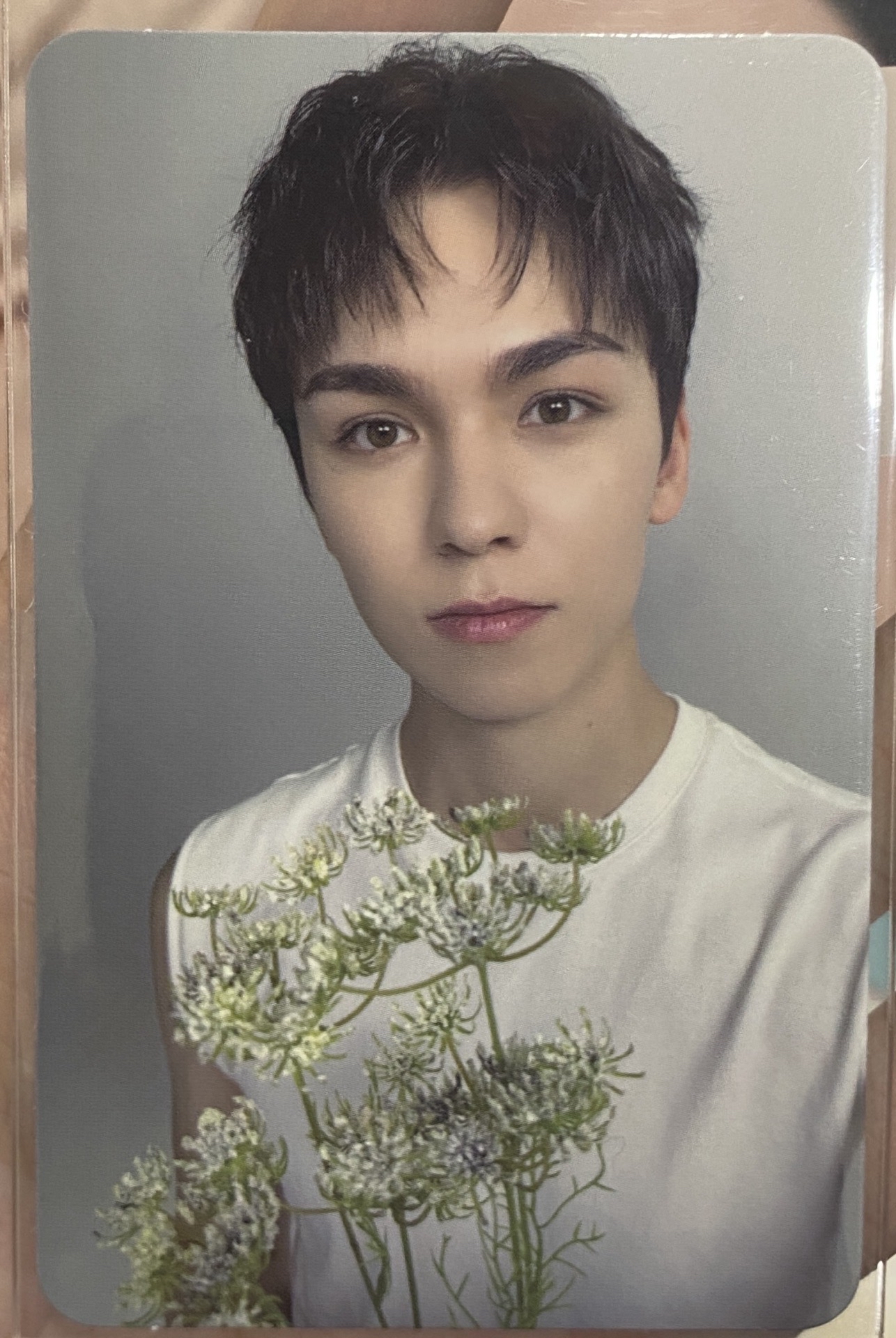 率 精選專卡｜CARAT ver.