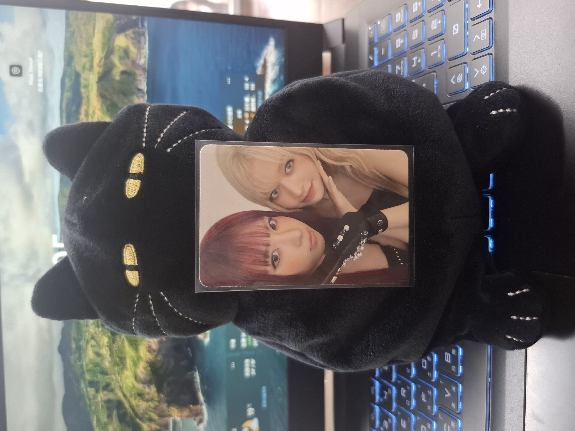 藍色情人節 雙人卡