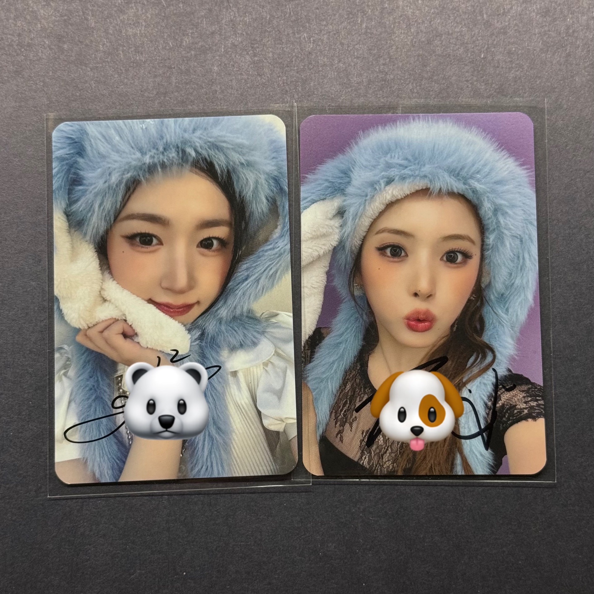 MS 藍兔嫄友 簽卡