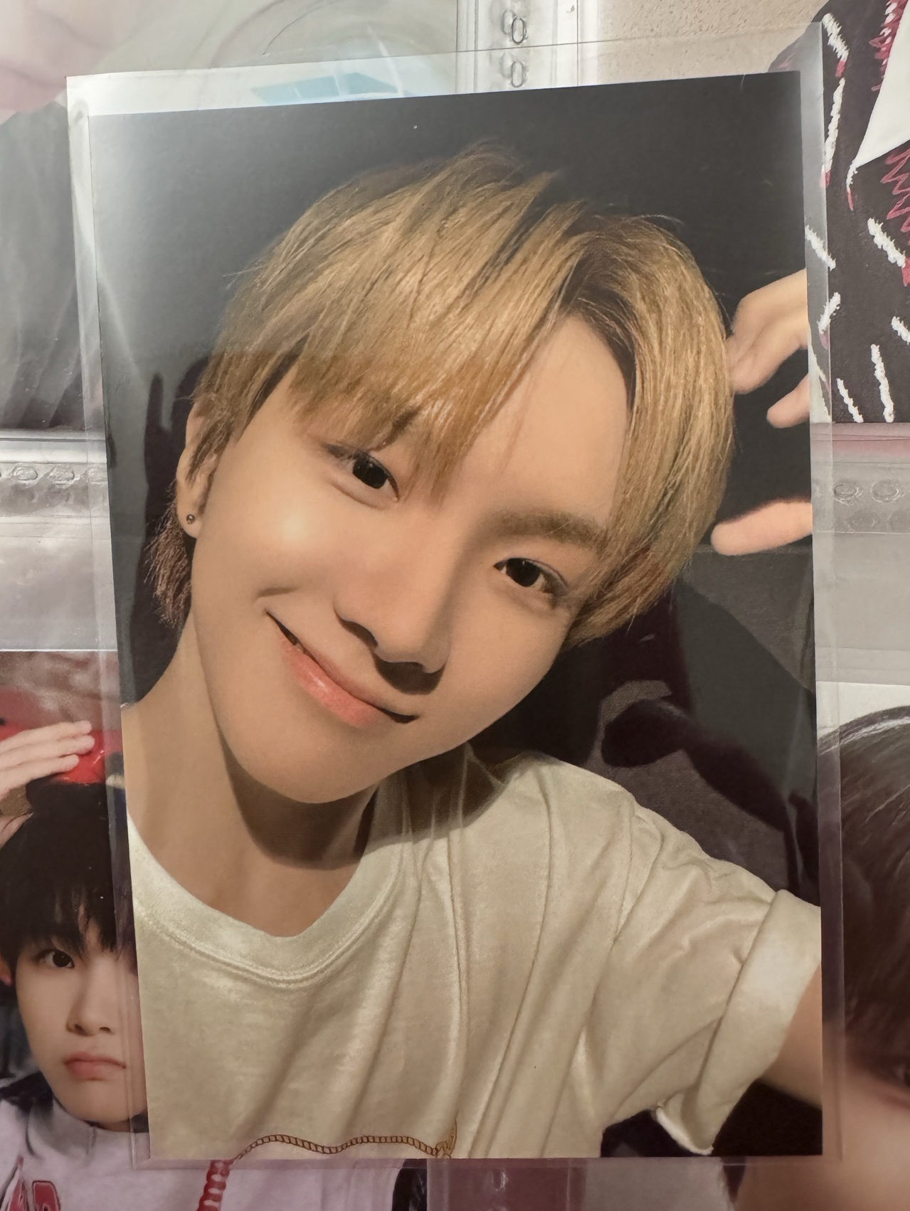 滿額卡熊熊金雲鶴