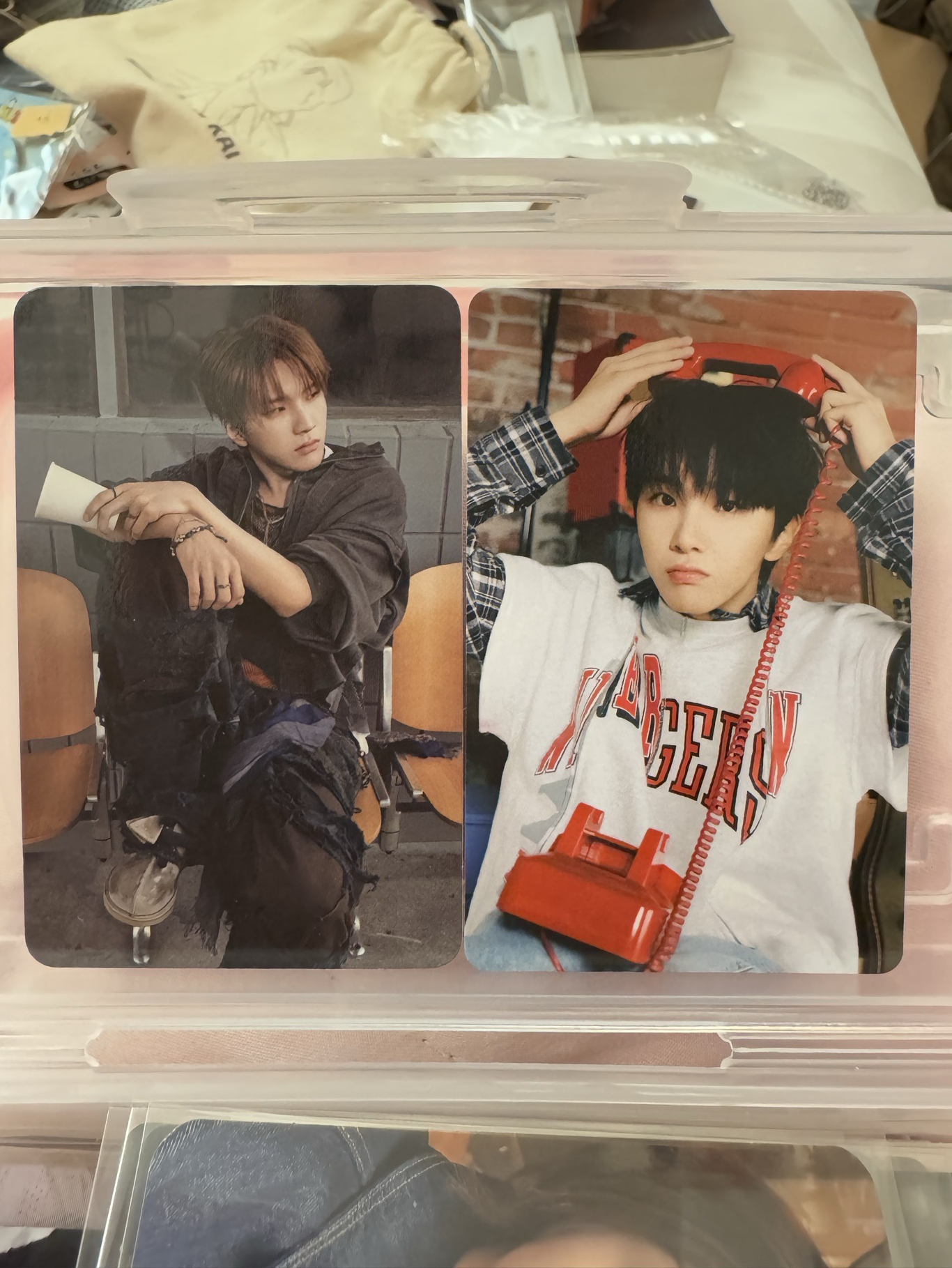 帥氣小熊vs萌熊熊