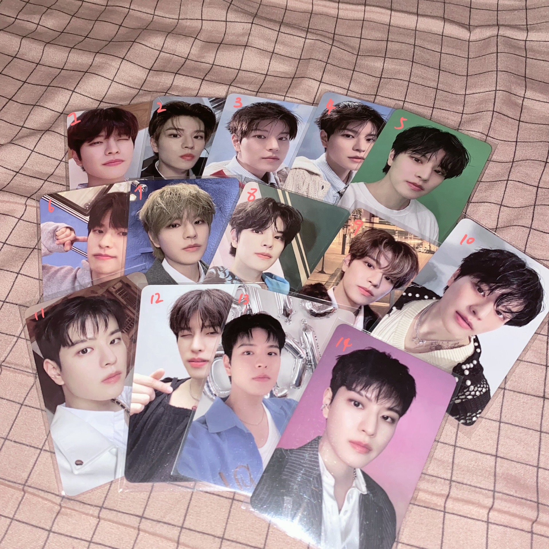 金昇汪（帕恰狗）