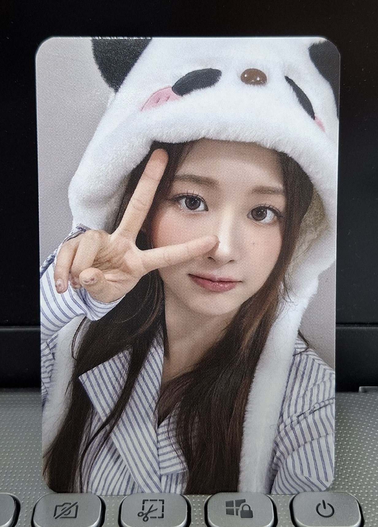 MS 熊貓薛 只屬於NSWER的설윤熊貓♡