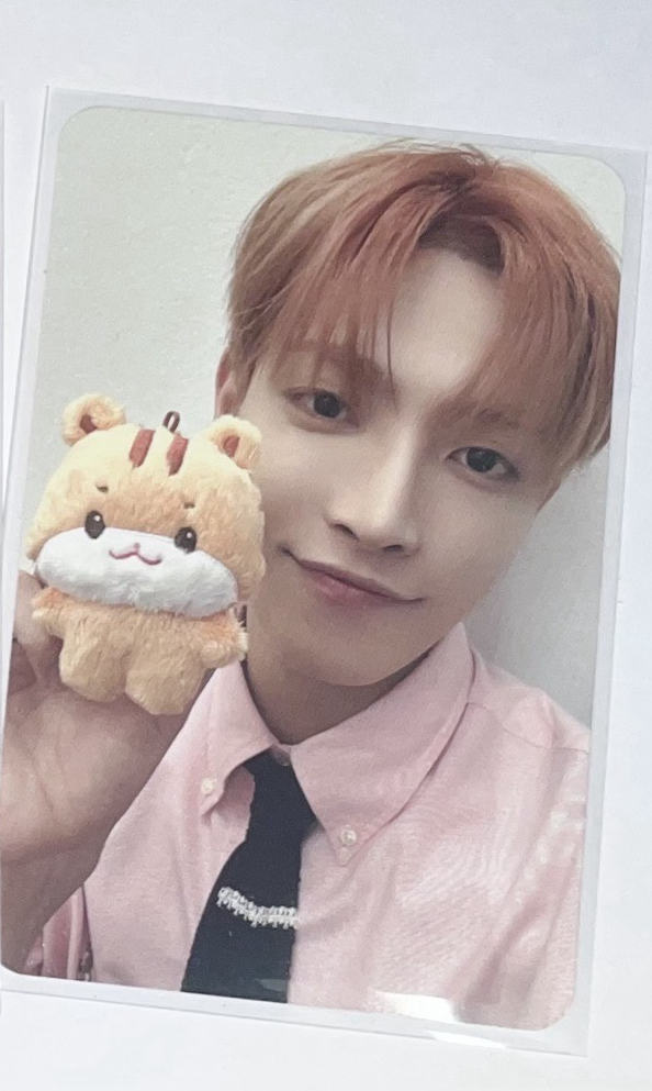 超級萌寶寶娃卡