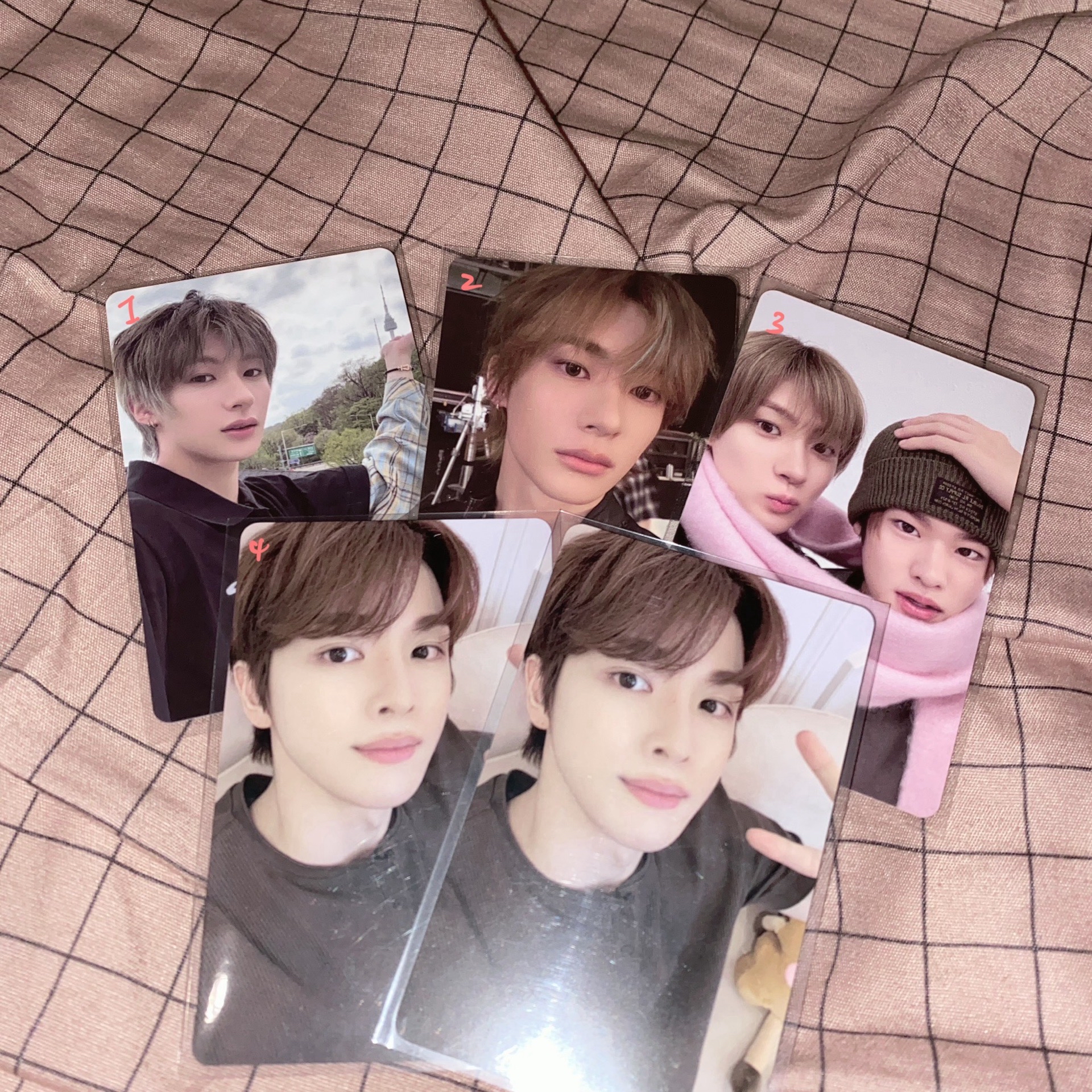 布栗子～（安通和成燦）