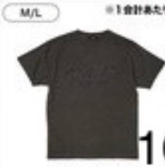 日巡長踢 （L）