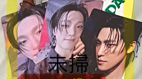 SEVENTEEN 正規五｜李燦小盤