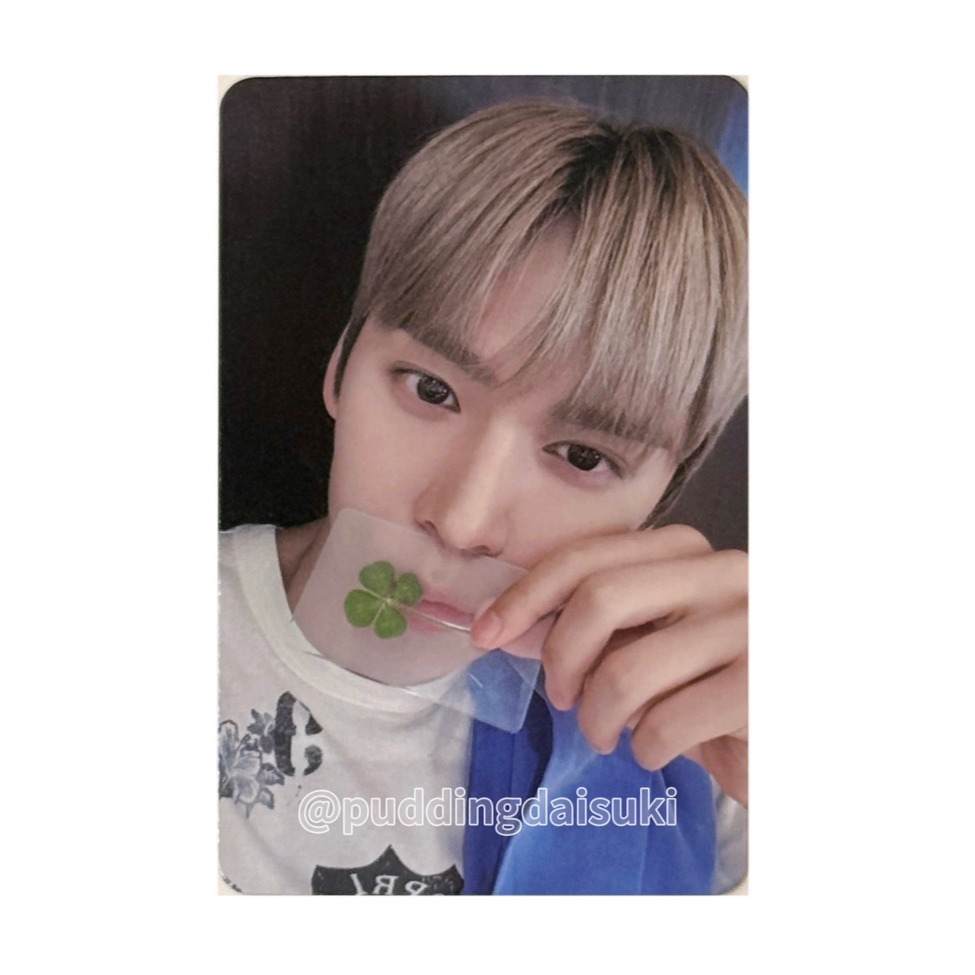 RIIZE｜正規一 PB專 KMONSTER 恩奭幸運卡