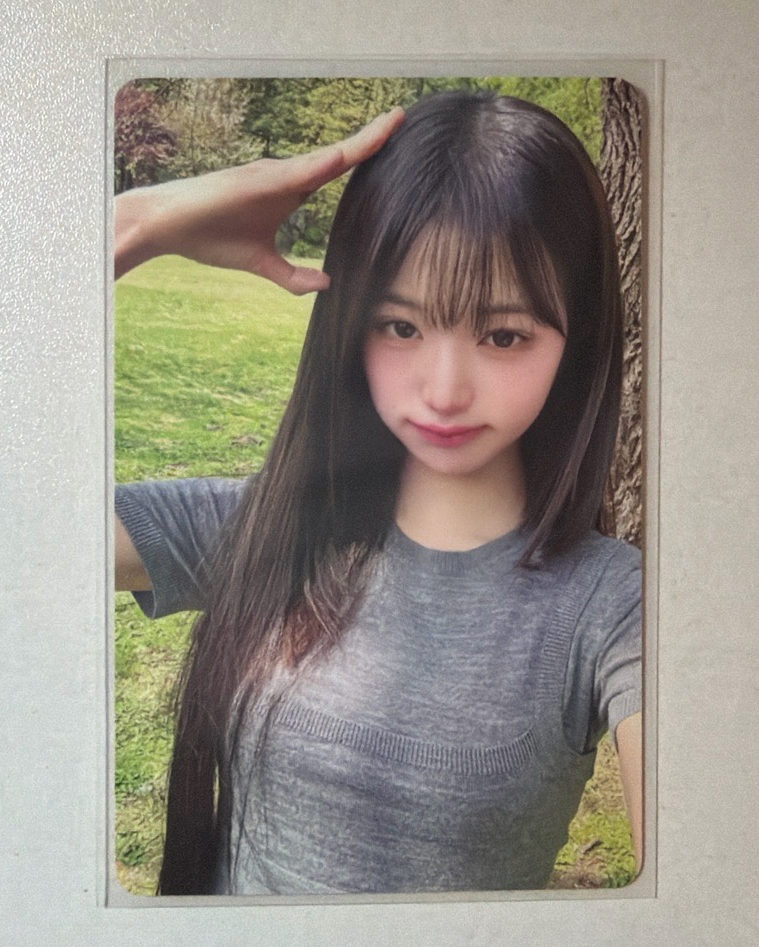 雜誌卡 員瑛小狗