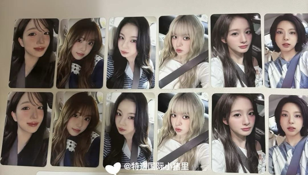 ms 上海合影 12.0 簽售卡 當我去見你 ver.