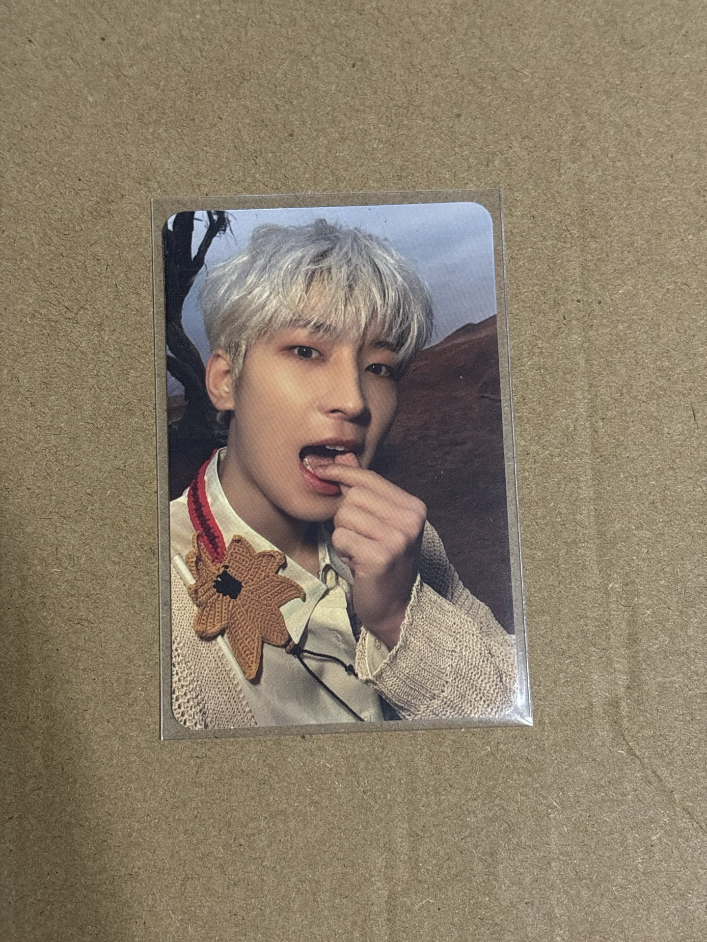 ❤️正規四 咬心圓 專卡