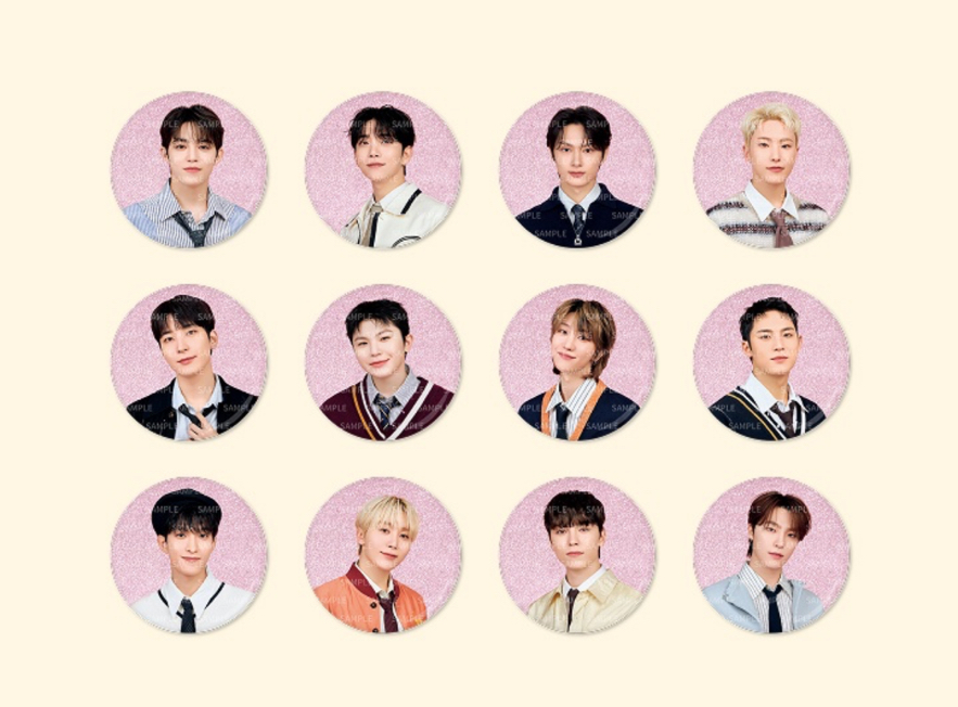 holiday 徽章 秀榮率