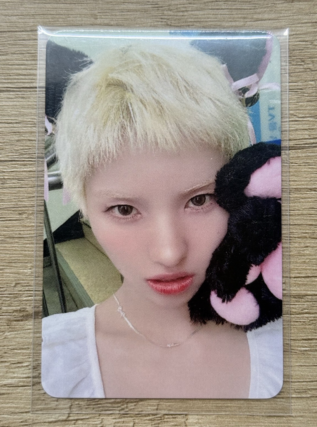 We are mu 3.0 簽售卡 貓爪娟