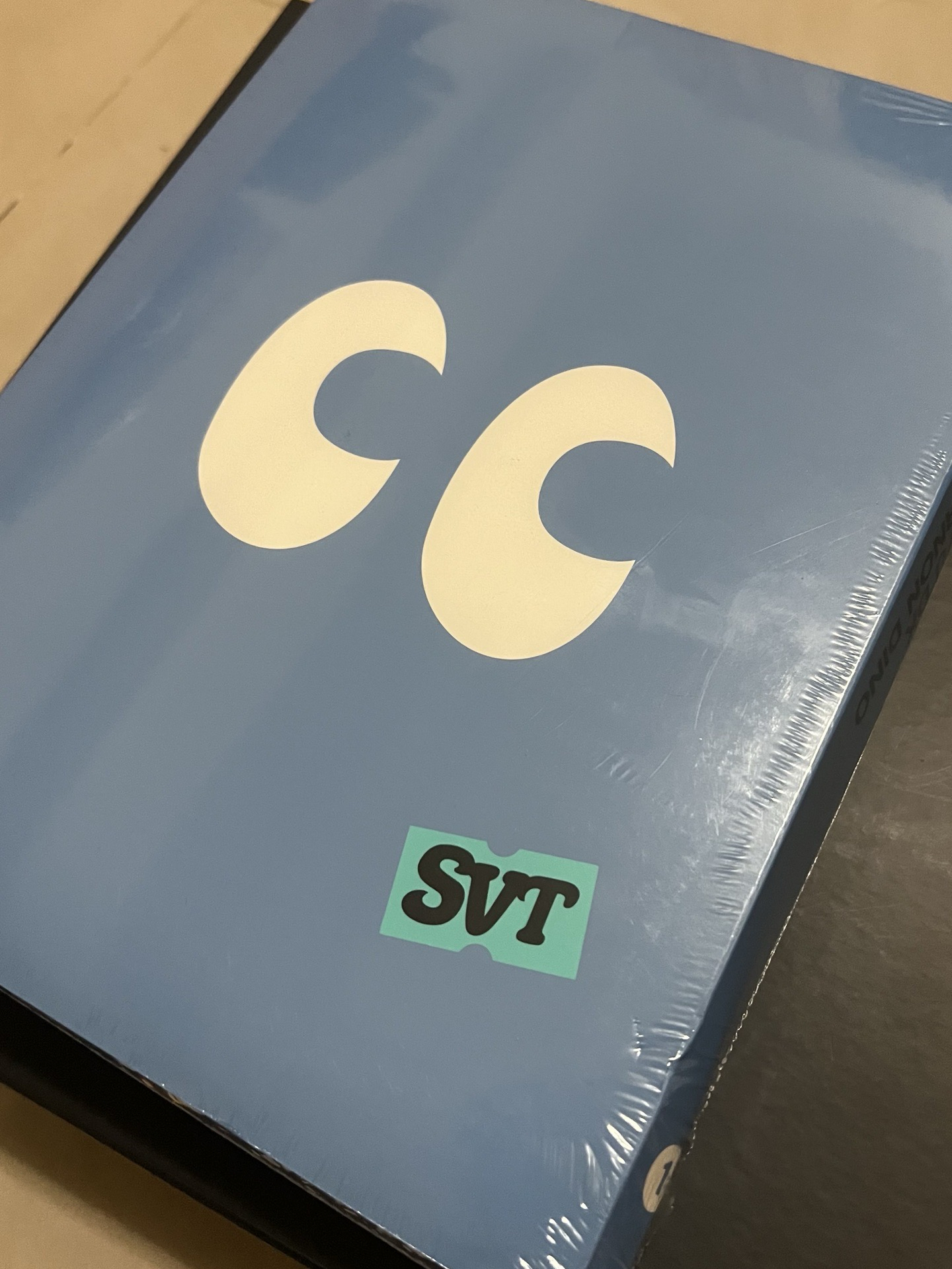 SEVENTEEN NANA BNB 寫真回憶錄（全新未拆）*含特典*