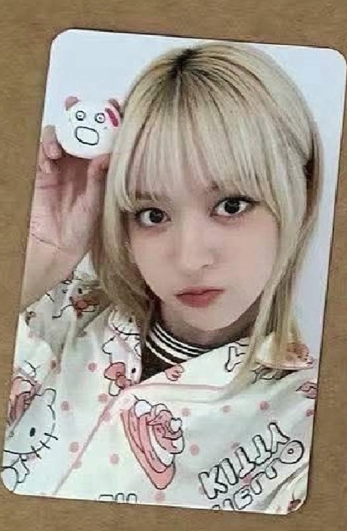 現貨 MS6.0 寵物石莉