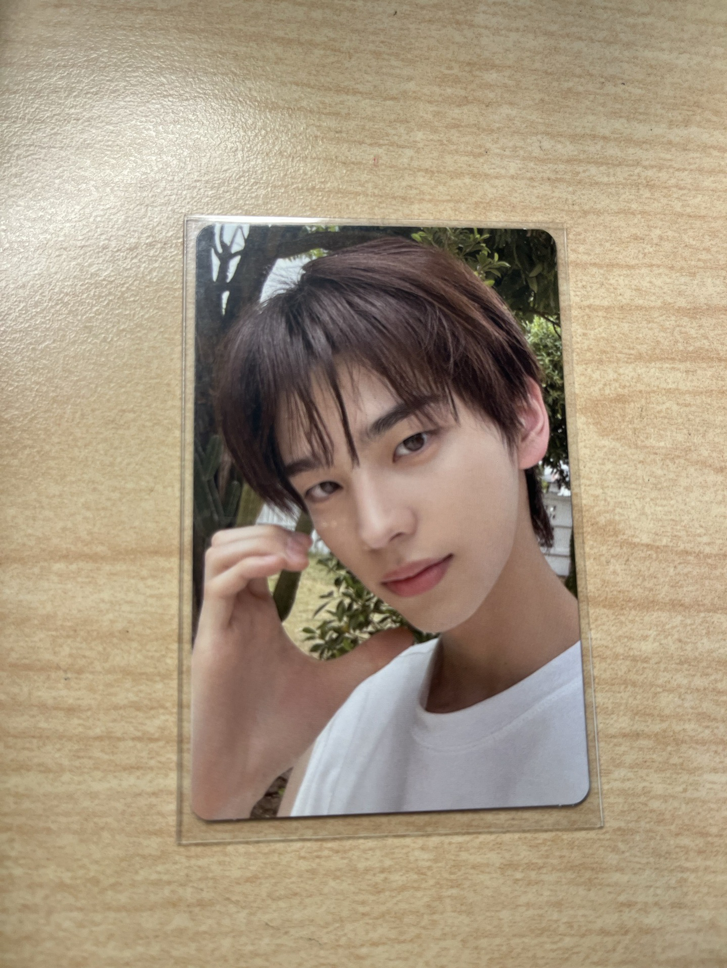 申惟迷二NOW版 專卡