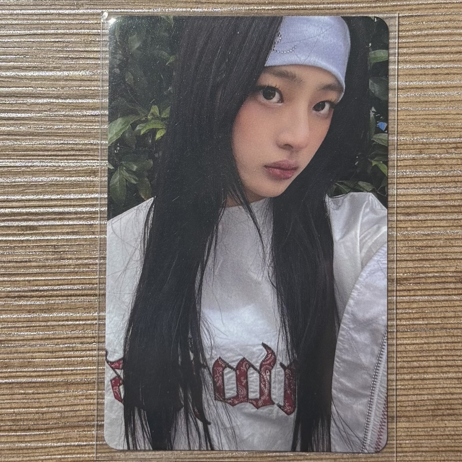 BUNNIES CAMP 入場卡哈貓忙