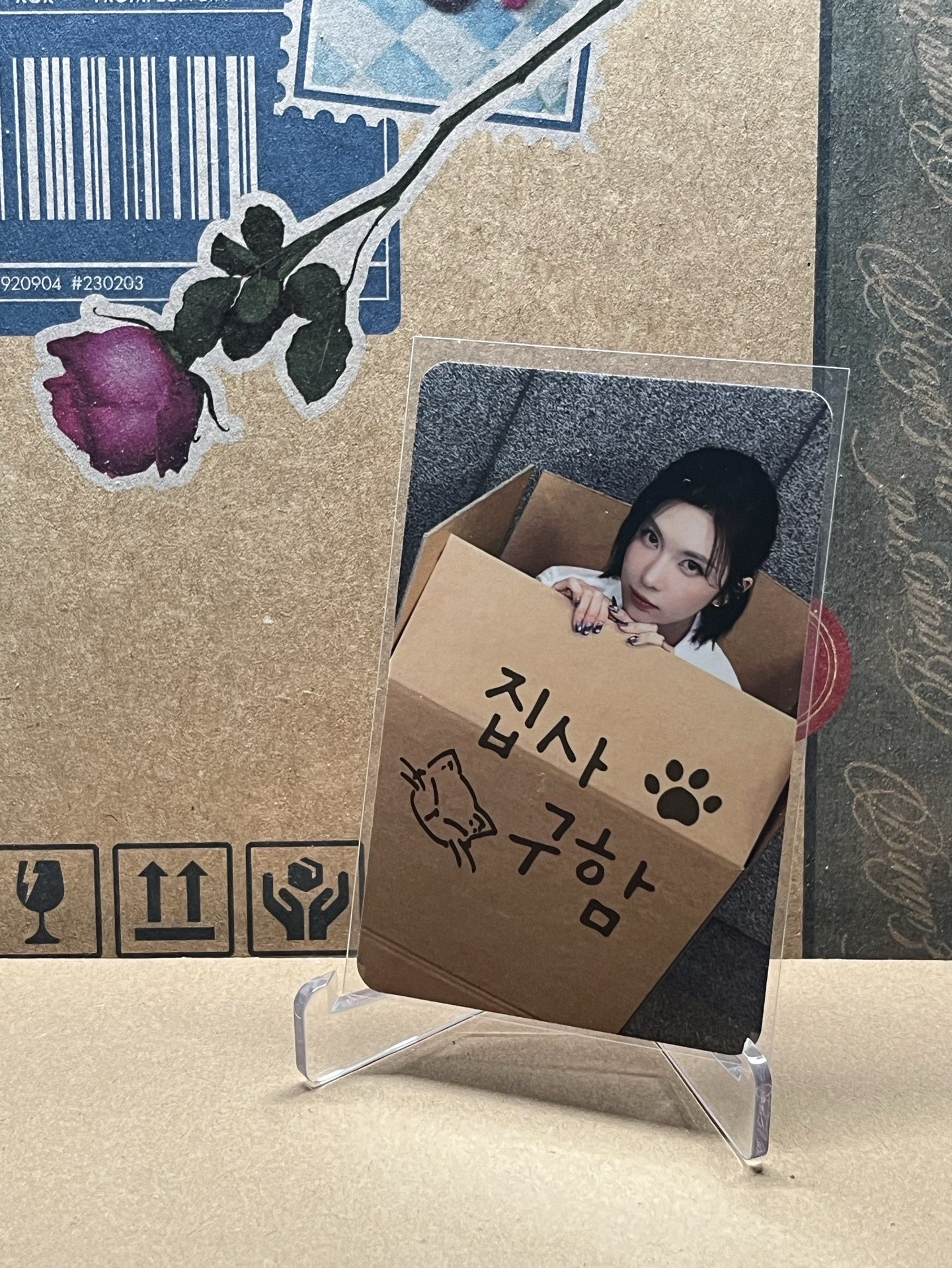 MS 7.0 線下 尋找鏟屎官 裴