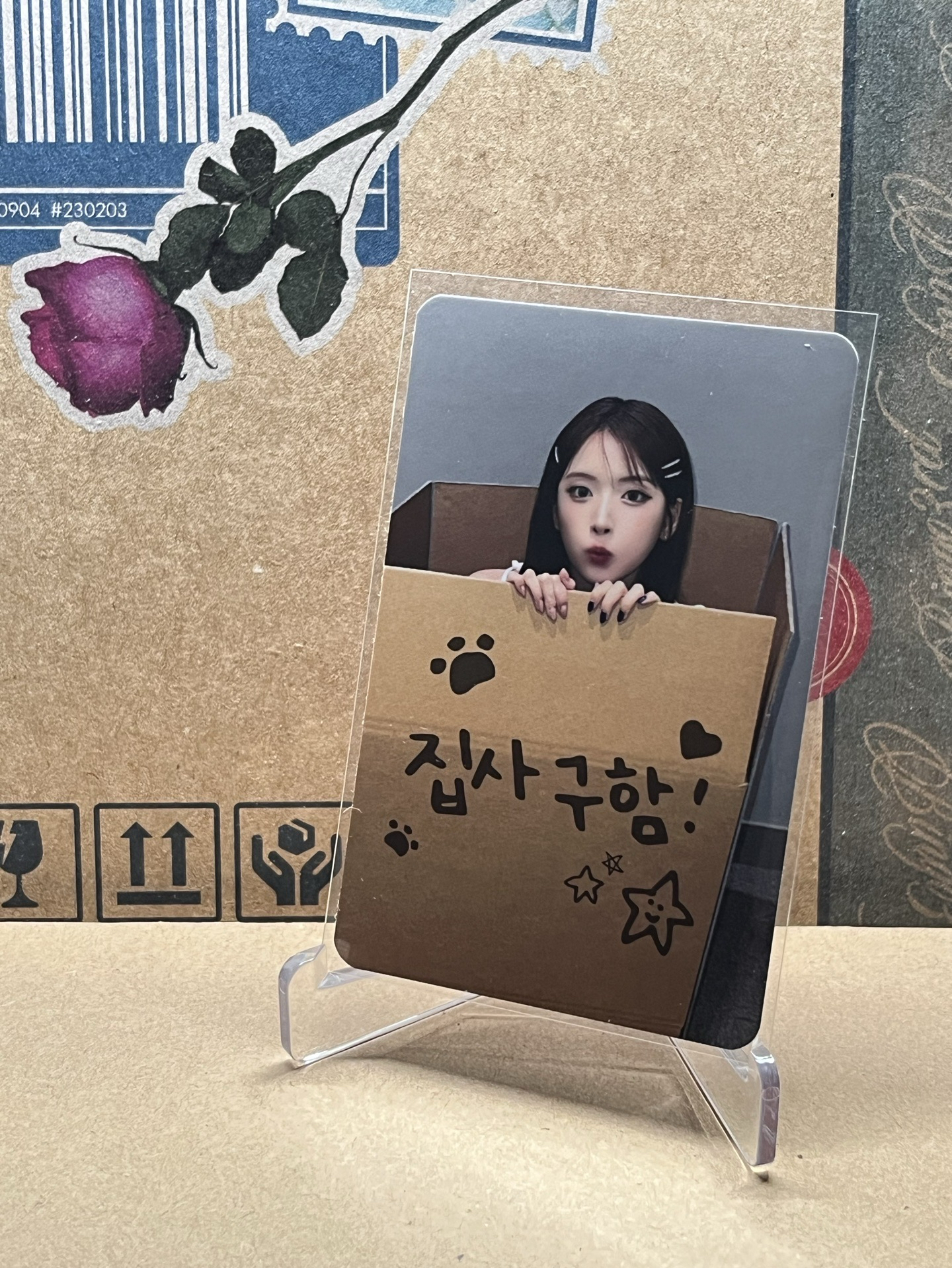 MS 7.0 線下 尋找鏟屎官 友