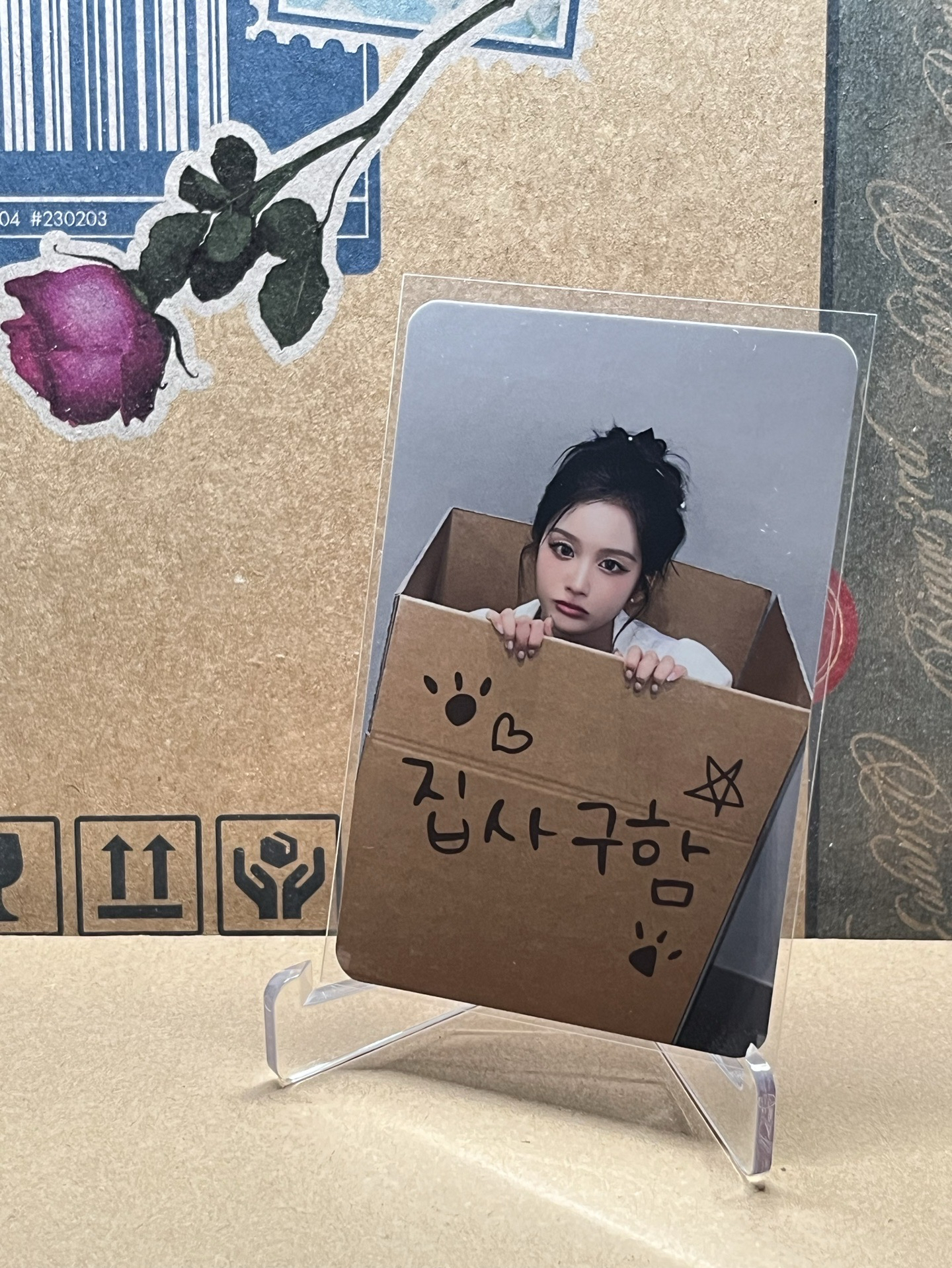 MS 7.0 線下 尋找鏟屎官 薛