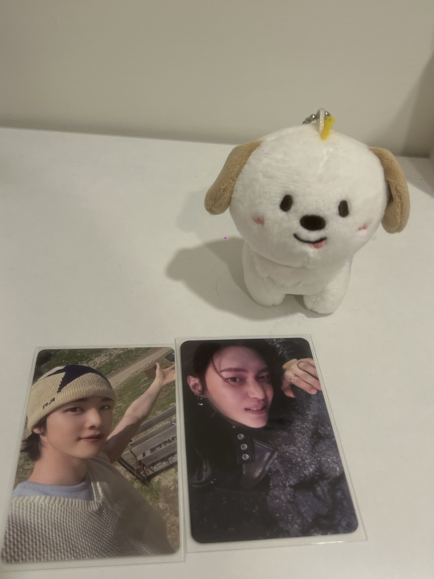 RIIZE情人節10cm娃 狗龍原皮 圖一整圖售