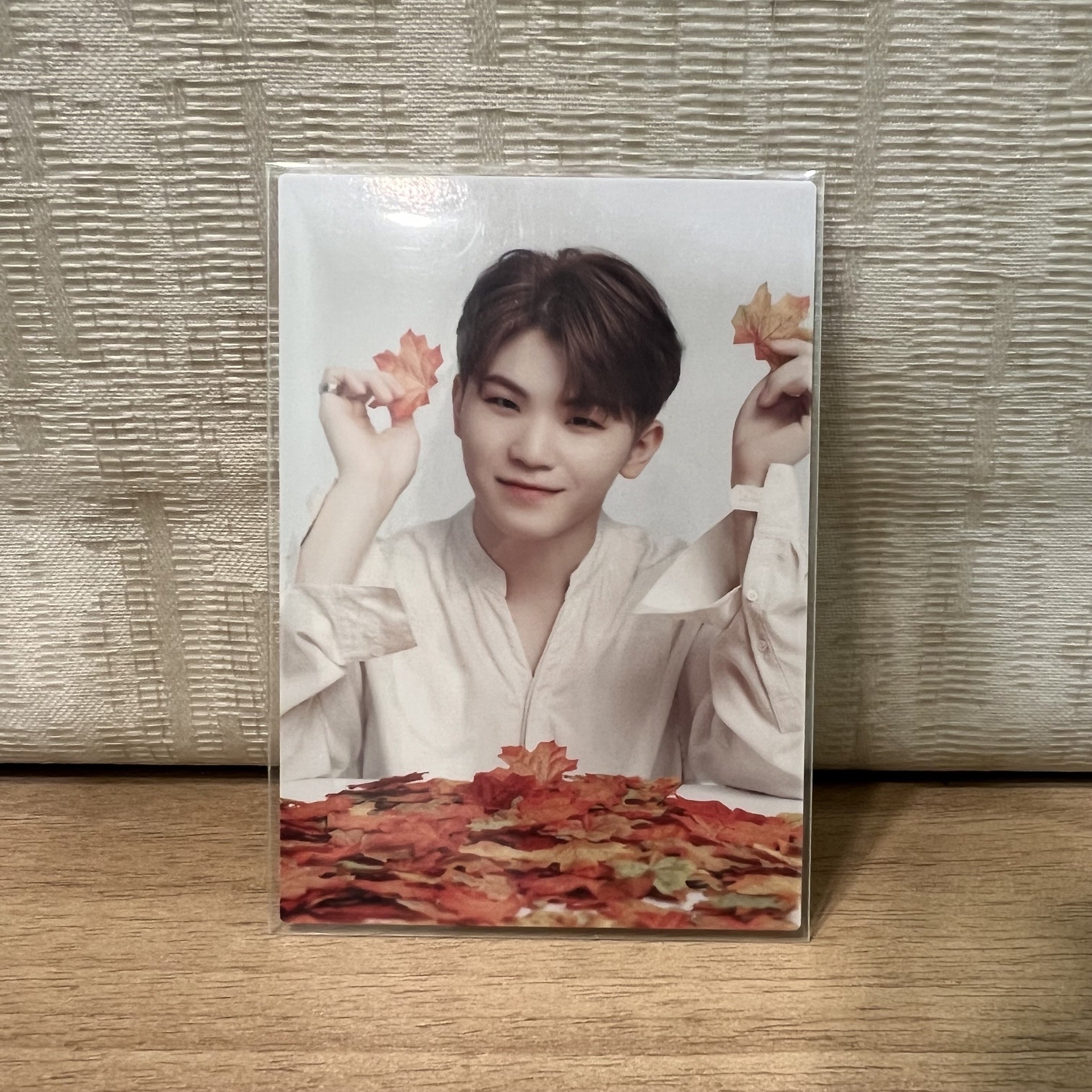 (價格已含綁) SEVENTEEN 楓葉卡 WOOZI 李知勳